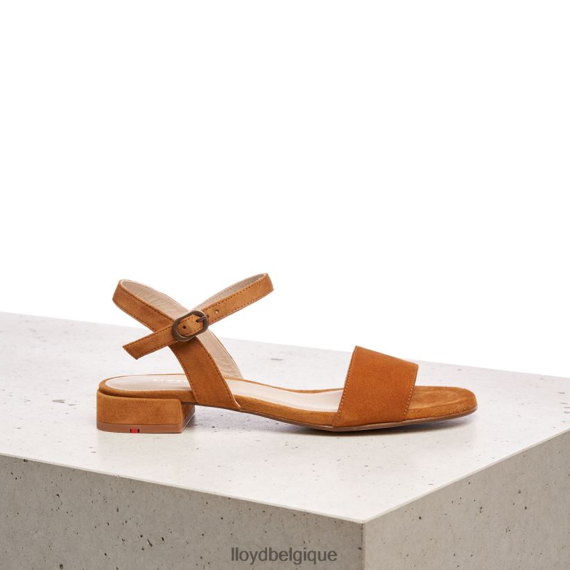 LLOYD sandale à surface en daim femmes brun 4Z6Z661158 chaussures