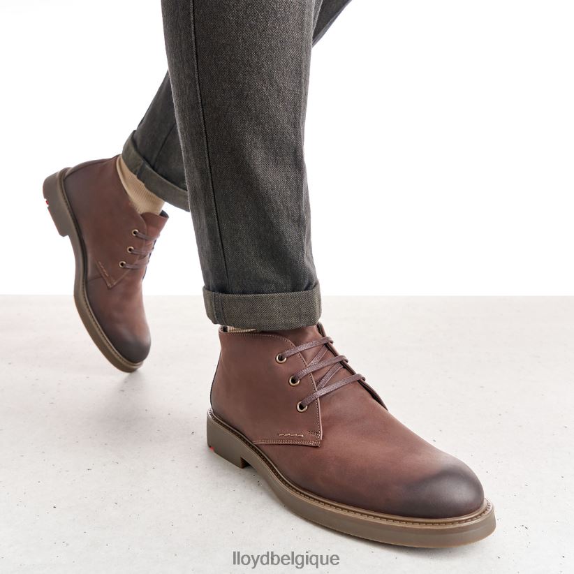 LLOYD scalaire Hommes brun 4Z6Z666 chaussures