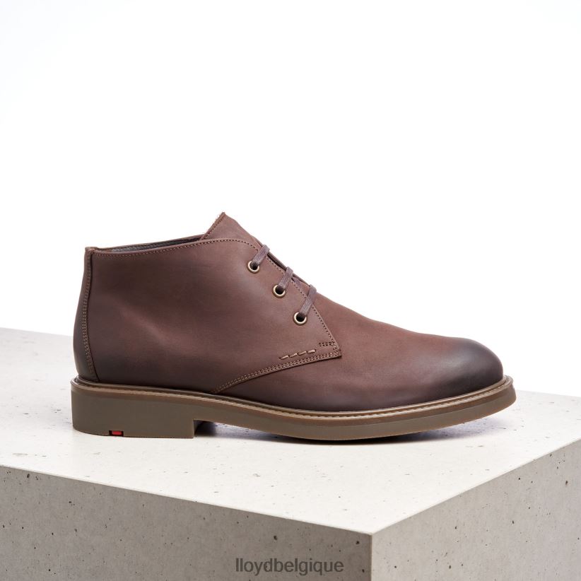 LLOYD scalaire Hommes brun 4Z6Z666 chaussures