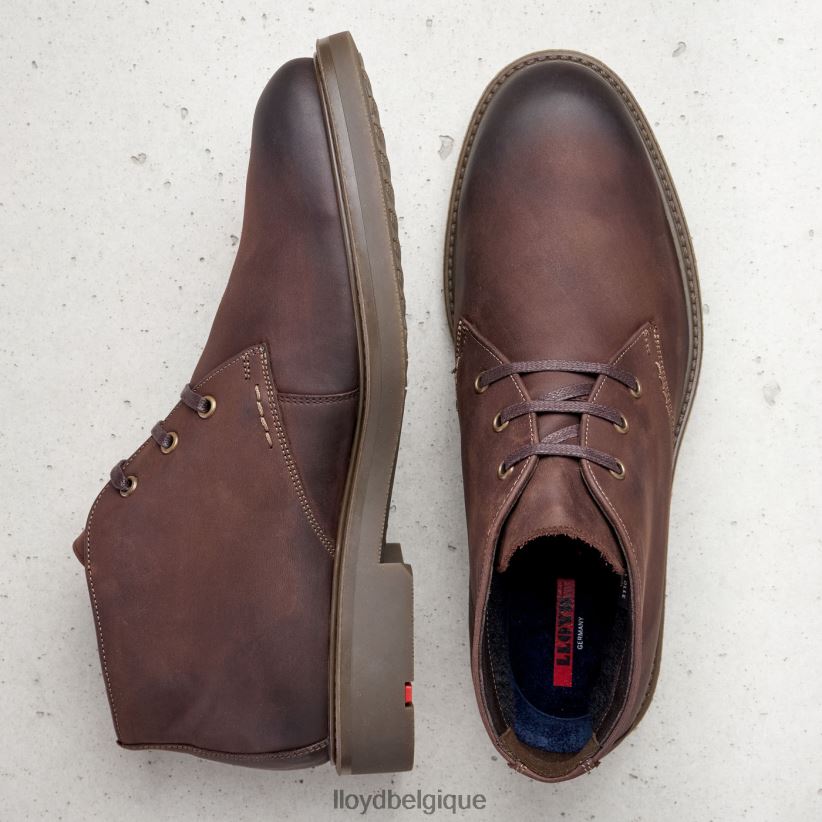 LLOYD scalaire Hommes brun 4Z6Z666 chaussures