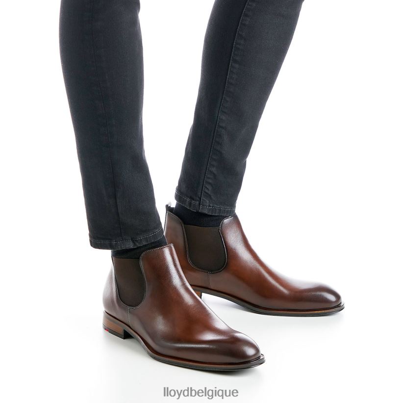 LLOYD scout Hommes brun 4Z6Z66239 chaussures