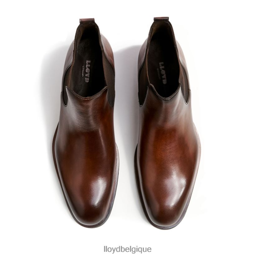 LLOYD scout Hommes brun 4Z6Z66239 chaussures