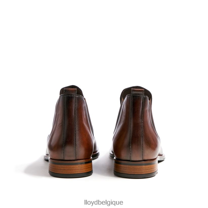 LLOYD scout Hommes brun 4Z6Z66239 chaussures