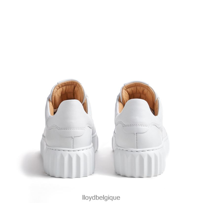 LLOYD sneaker basse femmes blanc 4Z6Z66761 chaussures