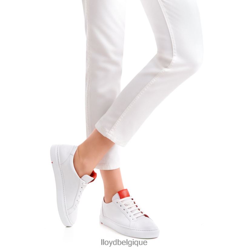 LLOYD sneaker basse femmes blanc 4Z6Z66786 chaussures