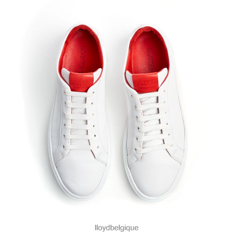 LLOYD sneaker basse femmes blanc 4Z6Z66786 chaussures