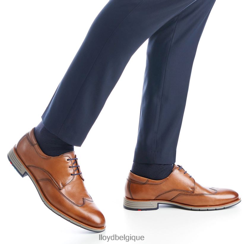 LLOYD tailleur Hommes brun 4Z6Z661325 chaussures