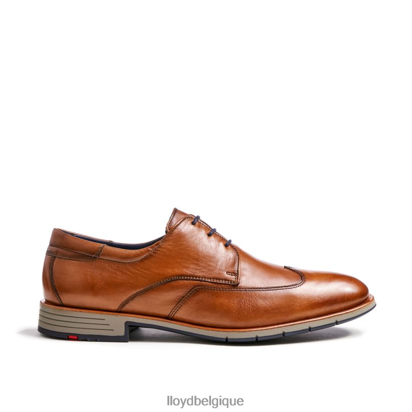 LLOYD tailleur Hommes brun 4Z6Z661325 chaussures