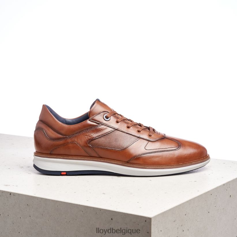 LLOYD tapis Hommes brun 4Z6Z66261 chaussures