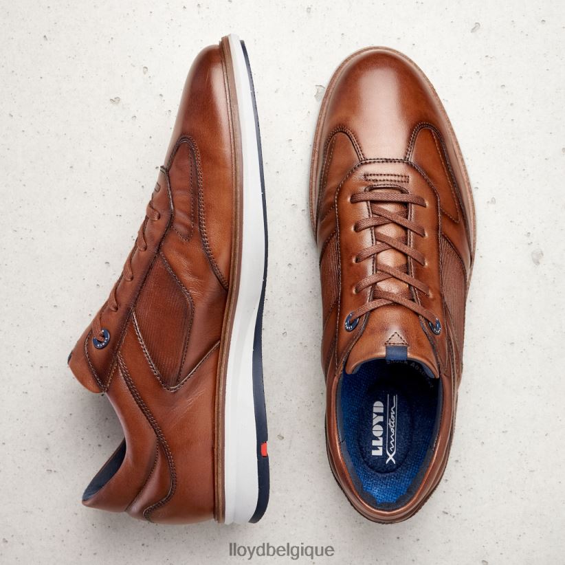 LLOYD tapis Hommes brun 4Z6Z66261 chaussures