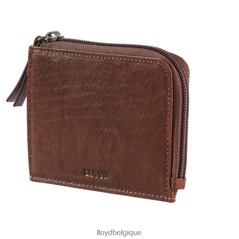 LLOYD titulaire de la carte Hommes brun 4Z6Z66660 accessoires