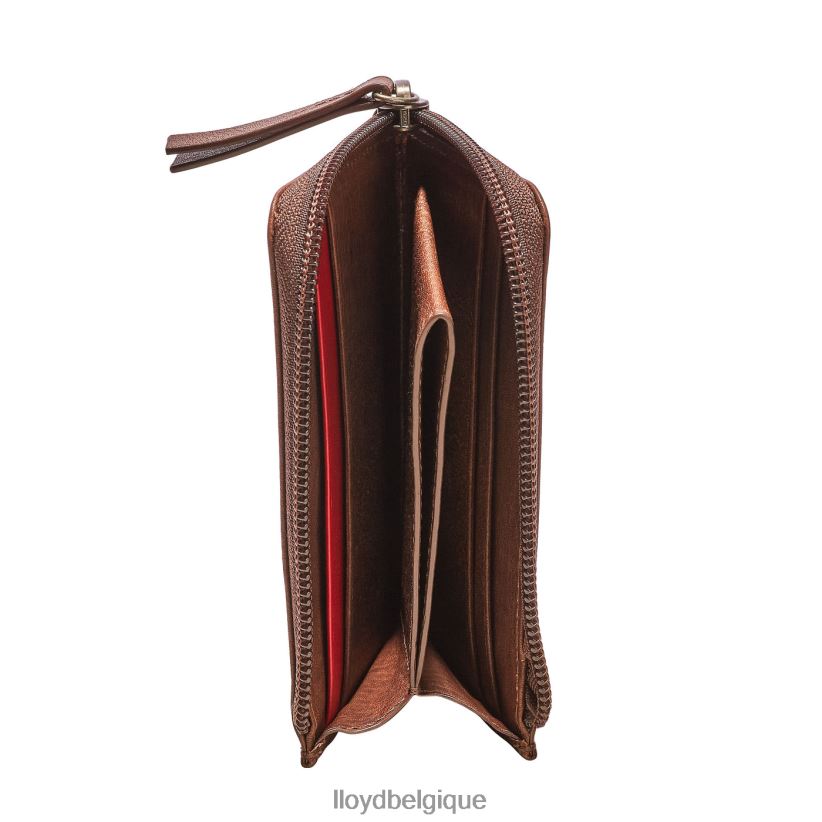 LLOYD titulaire de la carte Hommes brun 4Z6Z66660 accessoires