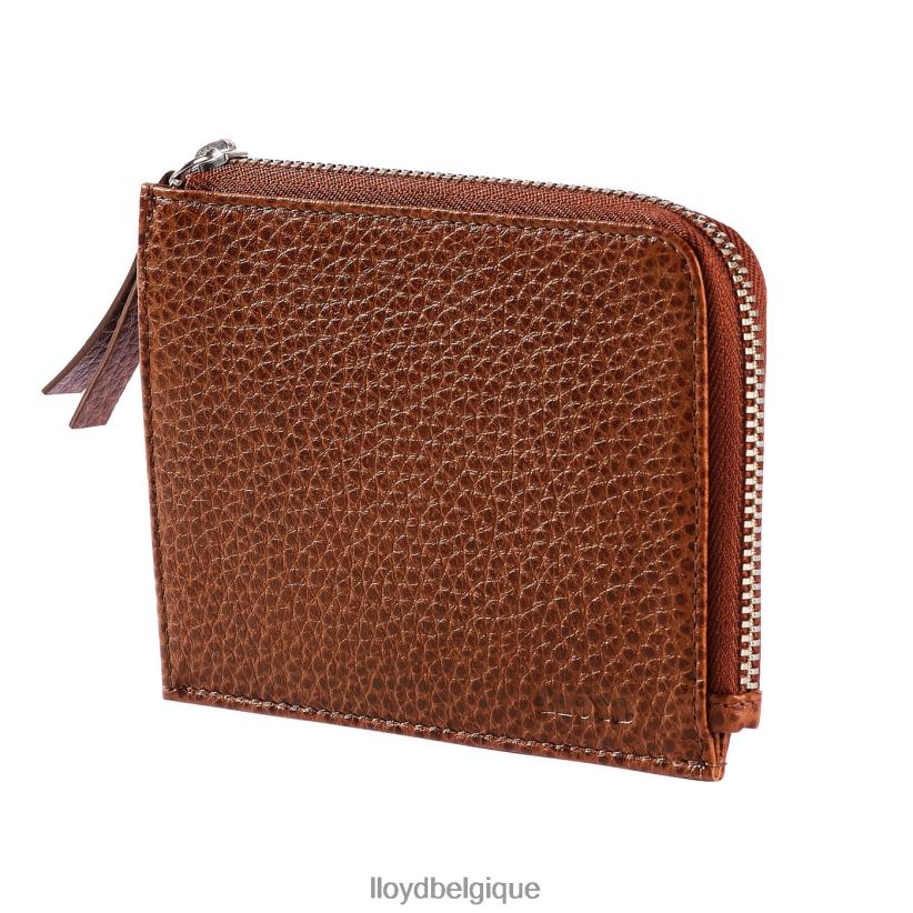 LLOYD titulaire de la carte Hommes brun 4Z6Z66665 accessoires