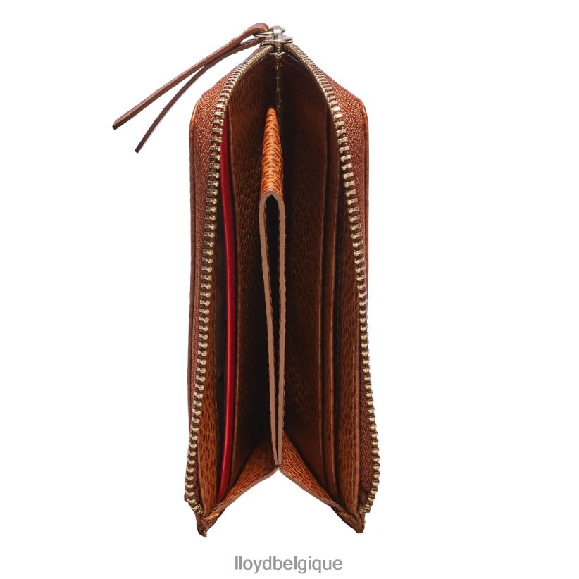 LLOYD titulaire de la carte Hommes brun 4Z6Z66665 accessoires