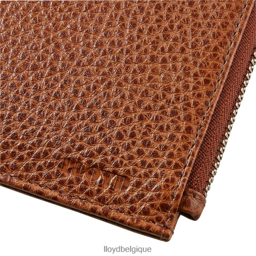 LLOYD titulaire de la carte Hommes brun 4Z6Z66665 accessoires