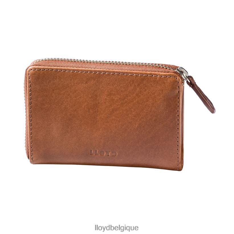 LLOYD trousse à clés Hommes brun 4Z6Z66663 accessoires