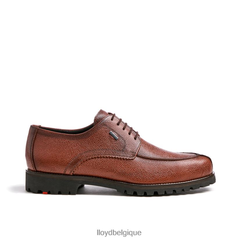 LLOYD valdez Hommes brun 4Z6Z66161 chaussures