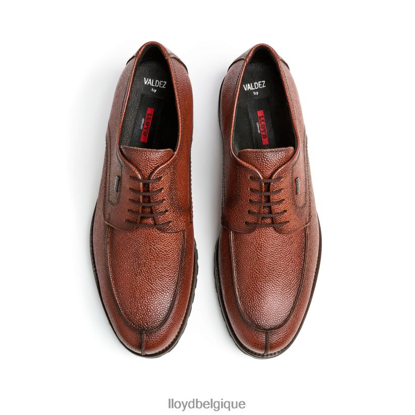 LLOYD valdez Hommes brun 4Z6Z66161 chaussures