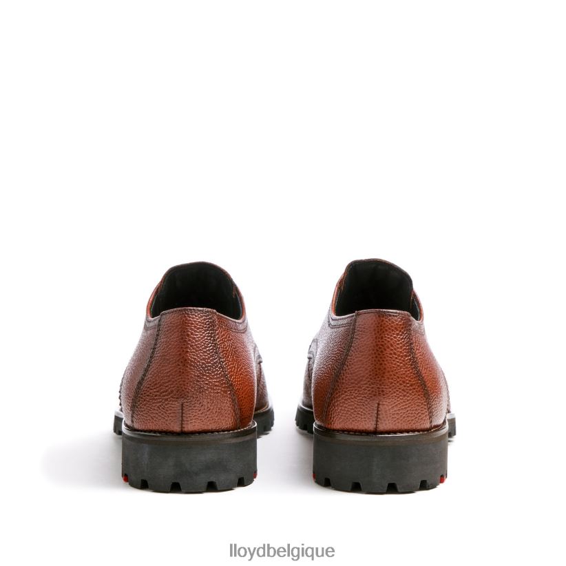 LLOYD valdez Hommes brun 4Z6Z66161 chaussures