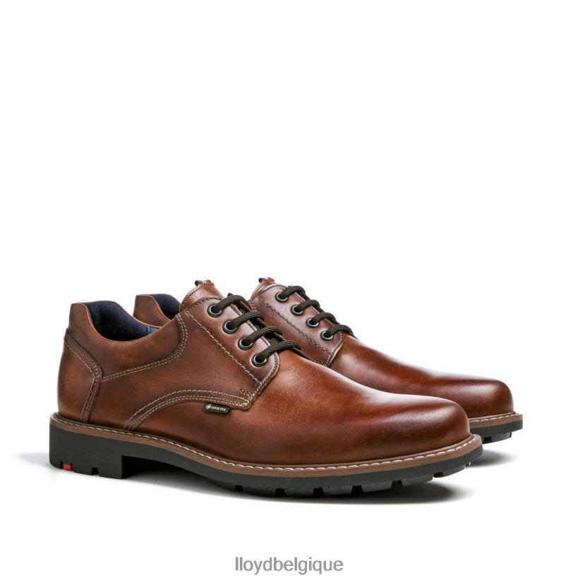 LLOYD vanja Hommes brun 4Z6Z66125 chaussures