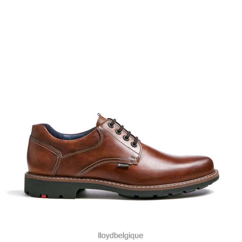 LLOYD vanja Hommes brun 4Z6Z66125 chaussures