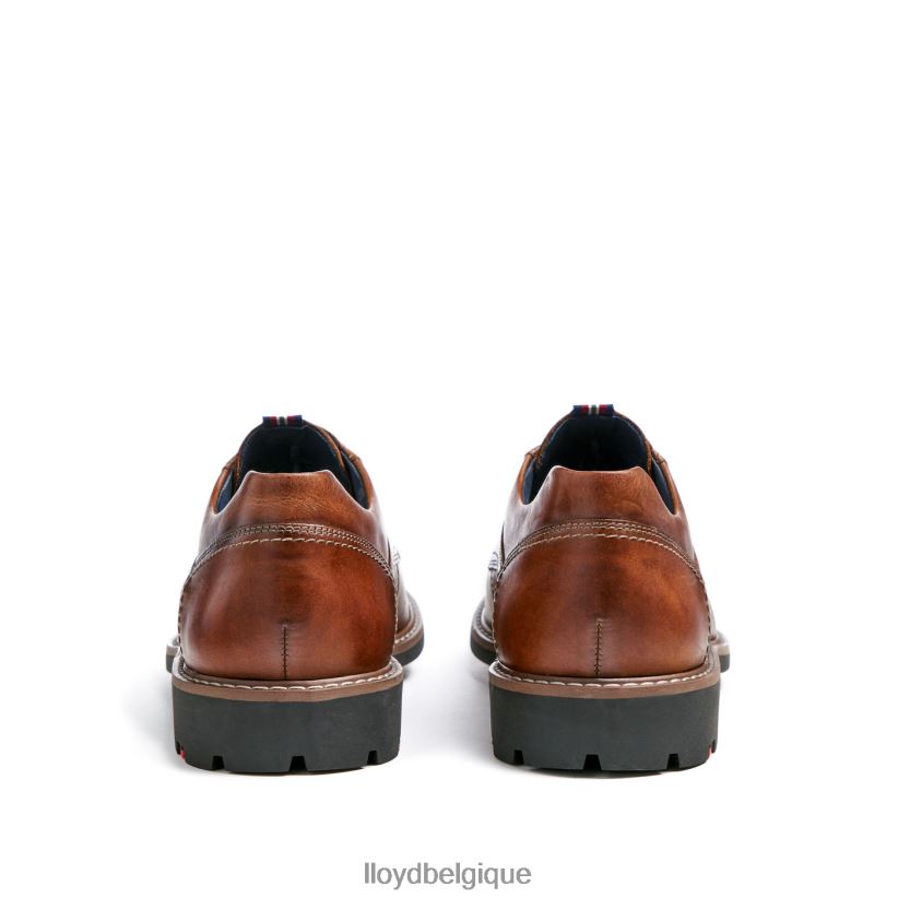 LLOYD vanja Hommes brun 4Z6Z66125 chaussures