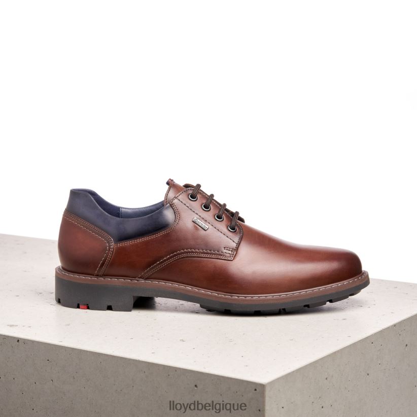 LLOYD vanja Hommes brun 4Z6Z66576 chaussures
