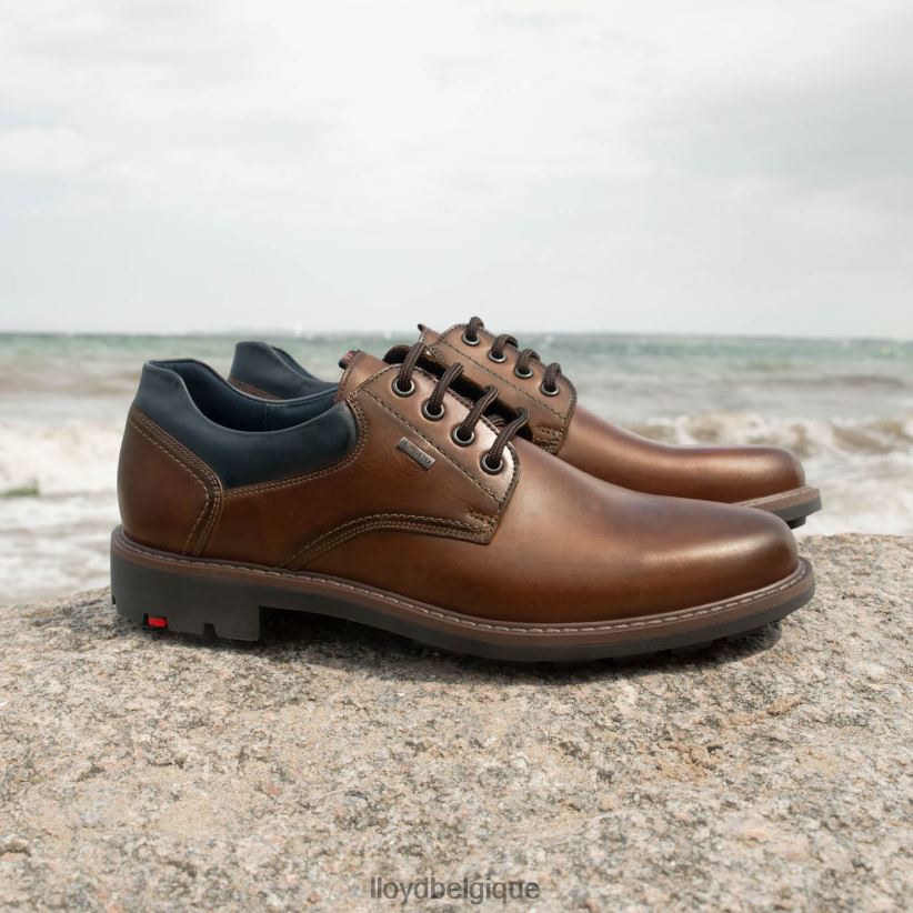 LLOYD vanja Hommes brun 4Z6Z66576 chaussures