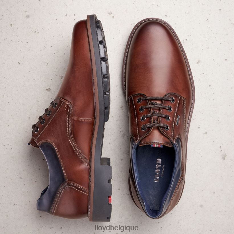 LLOYD vanja Hommes brun 4Z6Z66576 chaussures