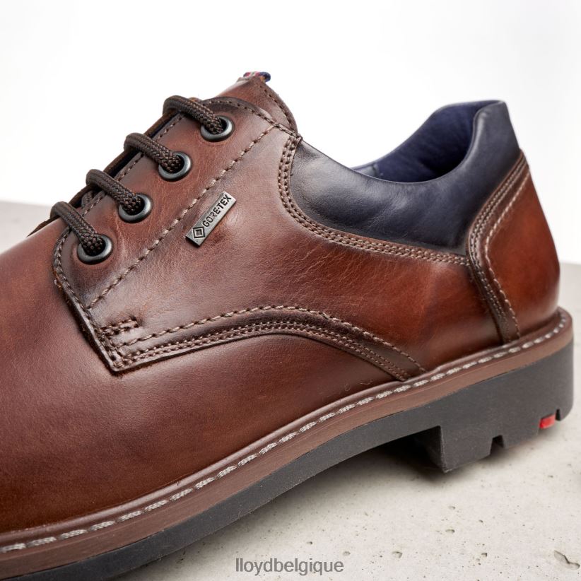 LLOYD vanja Hommes brun 4Z6Z66576 chaussures