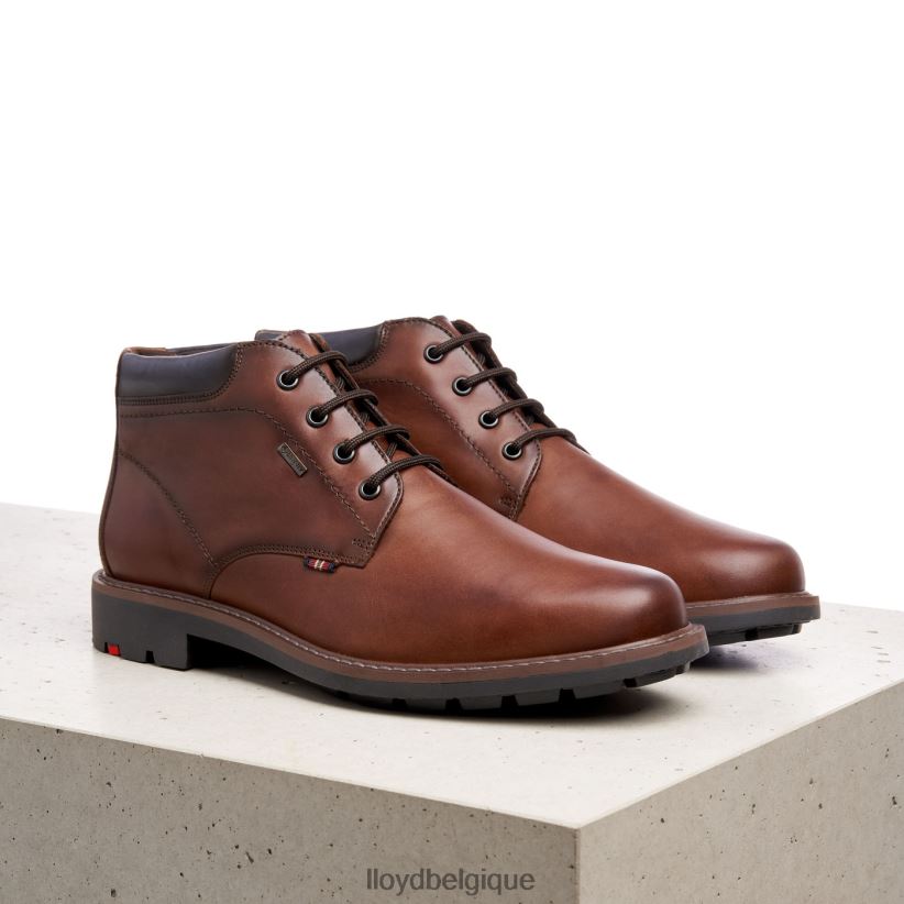 LLOYD variété Hommes brun 4Z6Z66533 chaussures