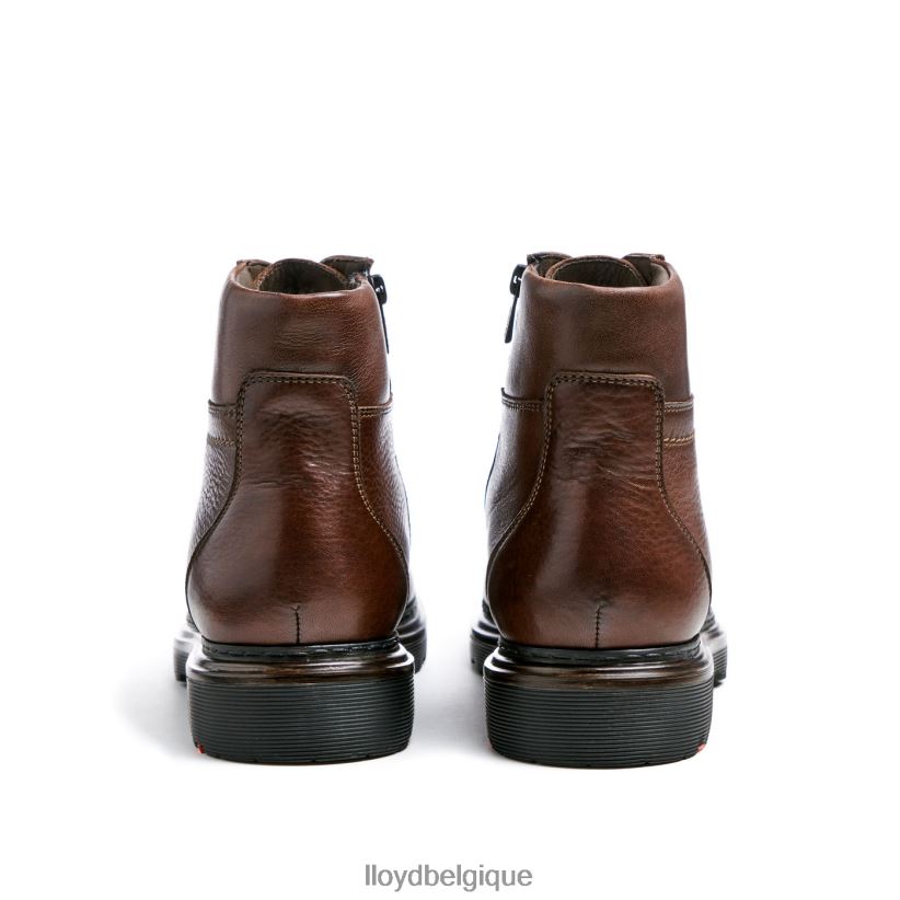 LLOYD vigne Hommes brun 4Z6Z66513 chaussures