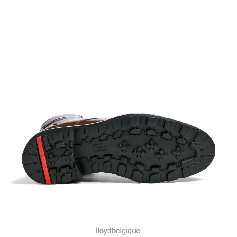 LLOYD vigne Hommes brun 4Z6Z66513 chaussures