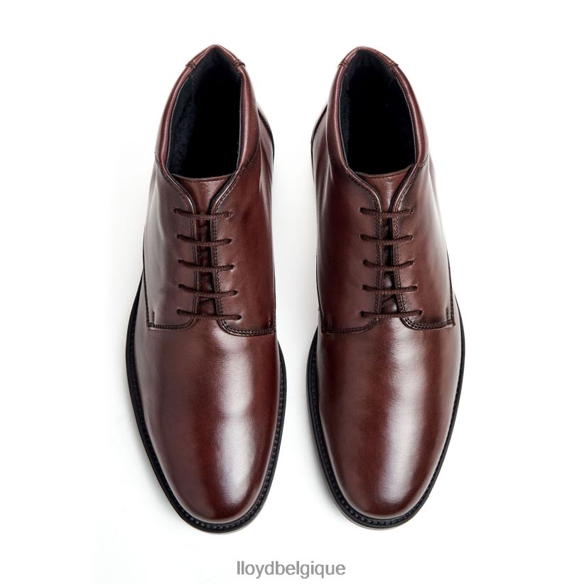 LLOYD vigne Hommes brun 4Z6Z66528 chaussures