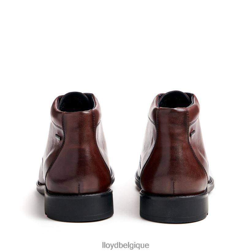 LLOYD vigne Hommes brun 4Z6Z66528 chaussures