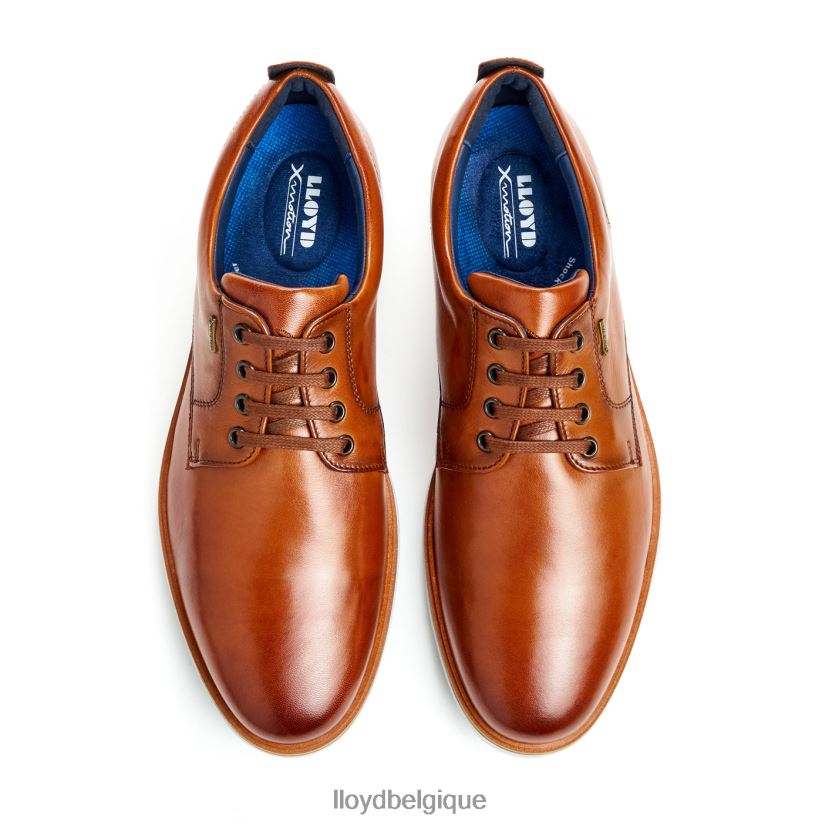 LLOYD vin Hommes brun 4Z6Z66139 chaussures