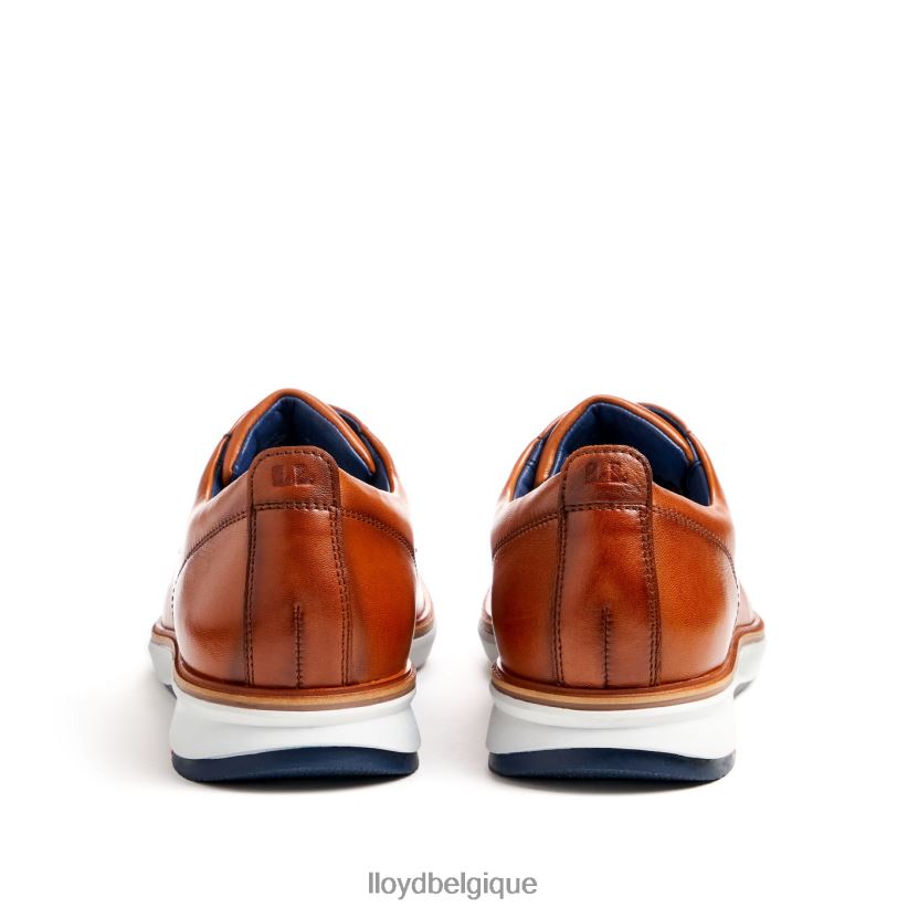 LLOYD vin Hommes brun 4Z6Z66139 chaussures