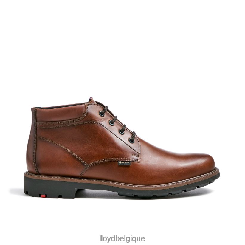 LLOYD visco Hommes brun 4Z6Z66515 chaussures