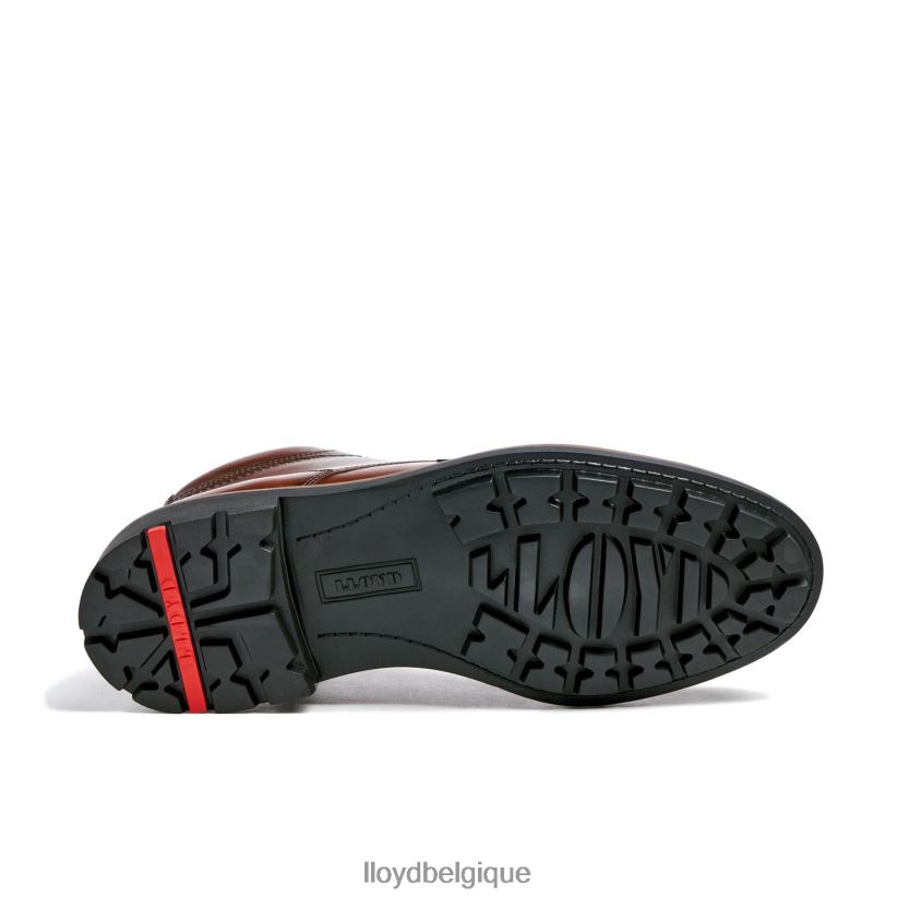 LLOYD visco Hommes brun 4Z6Z66515 chaussures