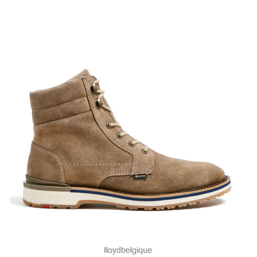 LLOYD voir Hommes beige 4Z6Z66521 chaussures