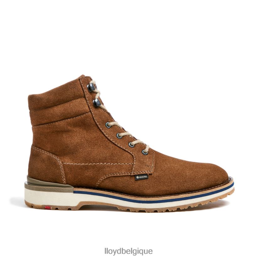 LLOYD voir Hommes brun 4Z6Z66520 chaussures