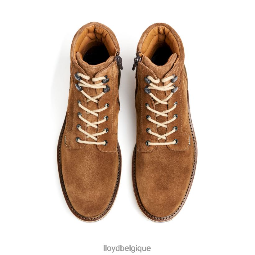 LLOYD voir Hommes brun 4Z6Z66520 chaussures