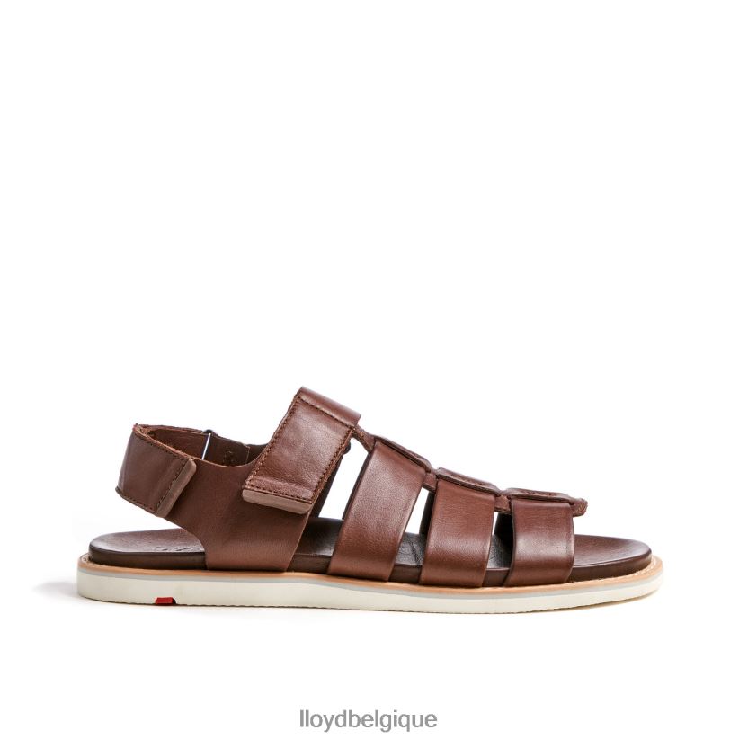 LLOYD Élimar Hommes brun 4Z6Z66583 chaussures