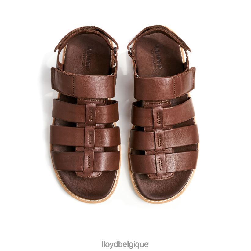 LLOYD Élimar Hommes brun 4Z6Z66583 chaussures