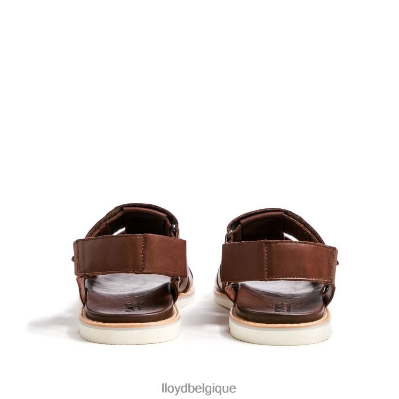 LLOYD Élimar Hommes brun 4Z6Z66583 chaussures