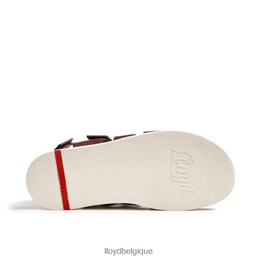 LLOYD Élimar Hommes brun 4Z6Z66583 chaussures