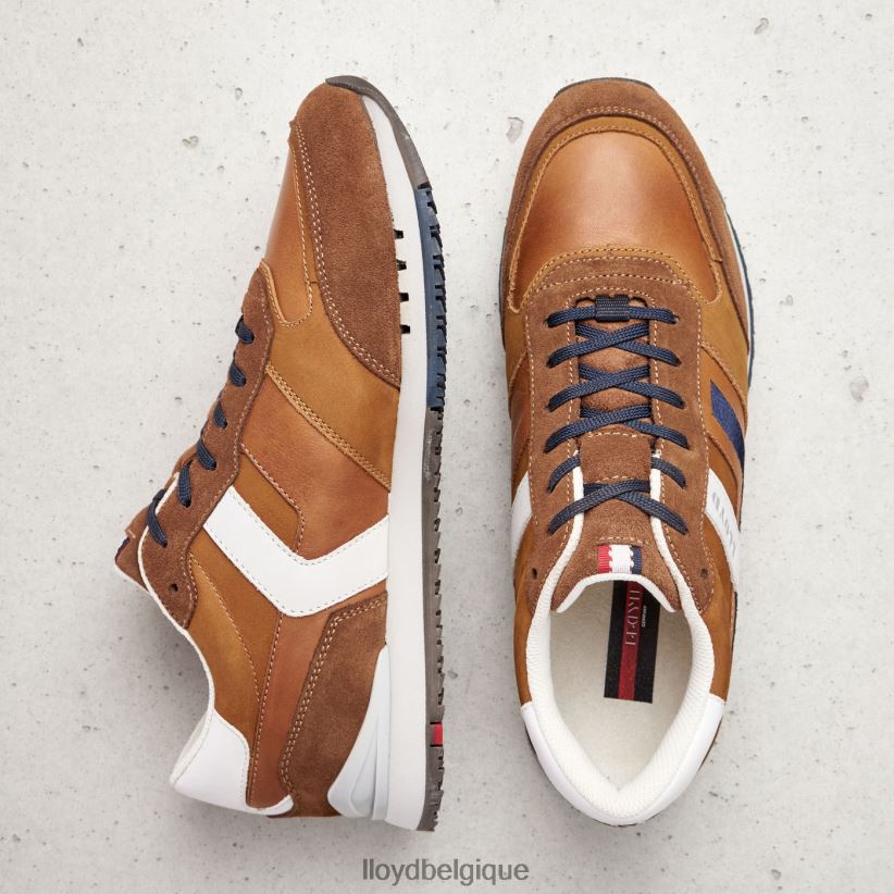 LLOYD Élio Hommes brun 4Z6Z66381 chaussures