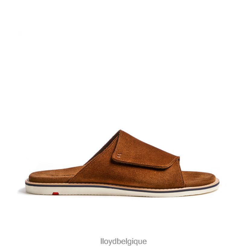 LLOYD Élios Hommes brun 4Z6Z66581 chaussures