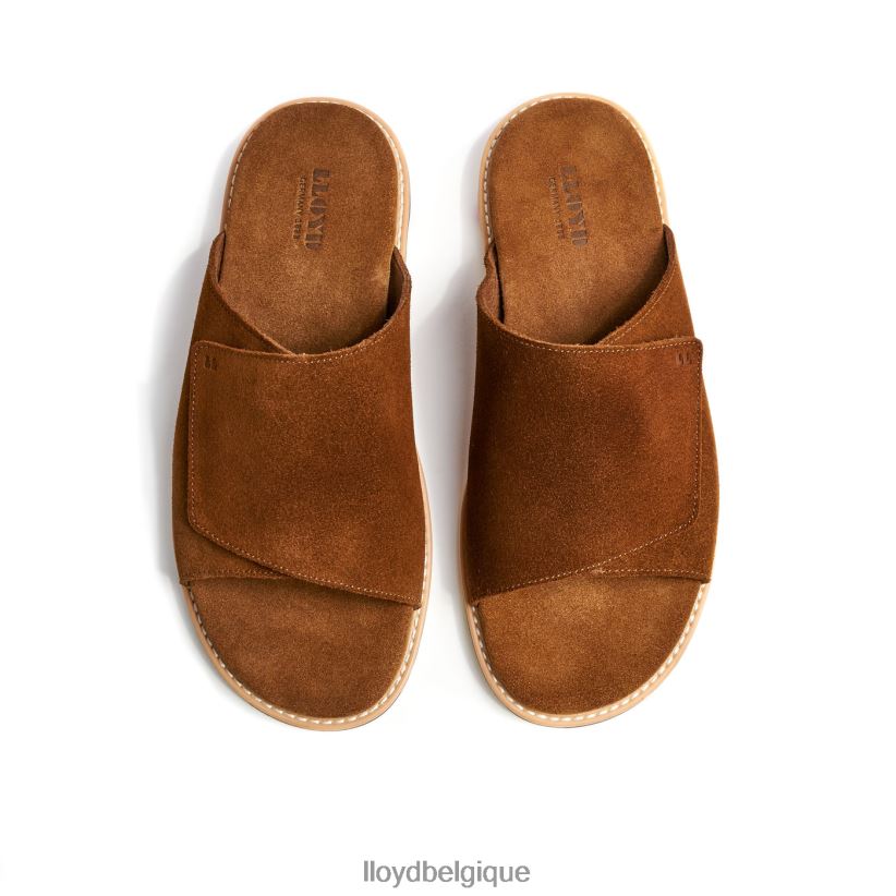 LLOYD Élios Hommes brun 4Z6Z66581 chaussures