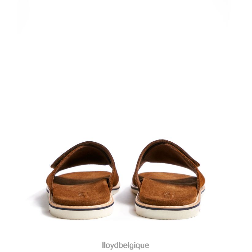 LLOYD Élios Hommes brun 4Z6Z66581 chaussures